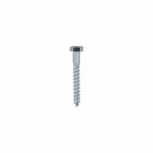 HOUTDRAADBOUT VZ 4.6 SW-10 DIN571 6X30 (200)