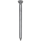 STALEN NAGEL GEHARD CK BLAUW2,5X40MM 1KG