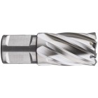 HSS KERNBOOR SILVER-LINE, WELDON 19, ø22X30