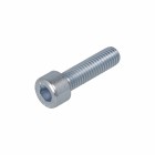 BINNENZESKANTBOUT VZ 8.8 CK IB-5 DIN912 M6X60 (200)
