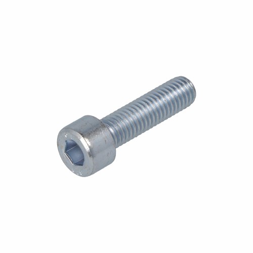 BINNENZESKANTBOUT VZ 8.8 CK IB-5 DIN912 M6X60 (200)