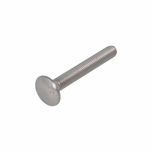 SLOTBOUT RVS-A2 DIN603 M6X20 (50)