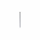 PROFTEC DRAADNAGEL BLANK PK 1.6X25 (1KG)