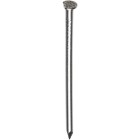 SPIJKERS, RUITKOP BLANK, 5KG. 6.0X160