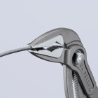 WATERPOMPTANG COBRA ES 87 51 250